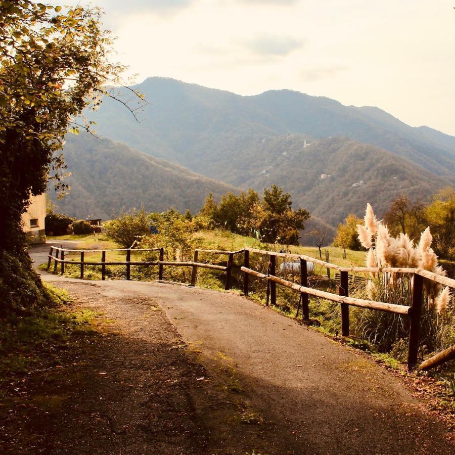Locanda Del Sale Affittacamere Soglio  Zewnętrze zdjęcie