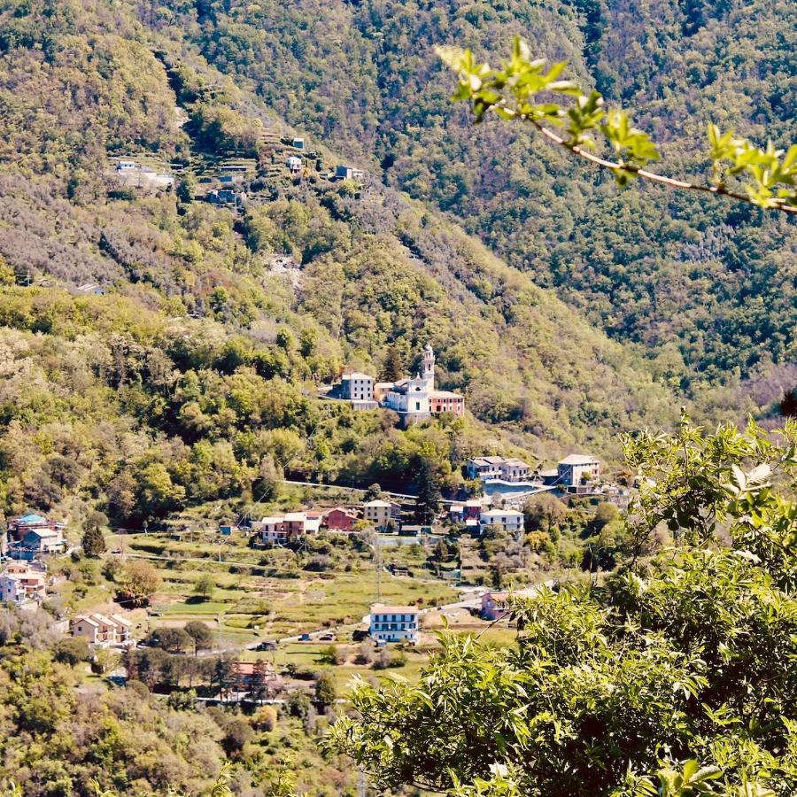 Locanda Del Sale Affittacamere Soglio  Zewnętrze zdjęcie