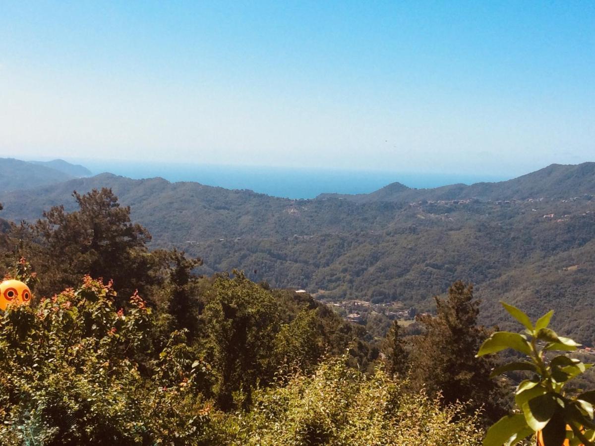 Locanda Del Sale Affittacamere Soglio  Zewnętrze zdjęcie